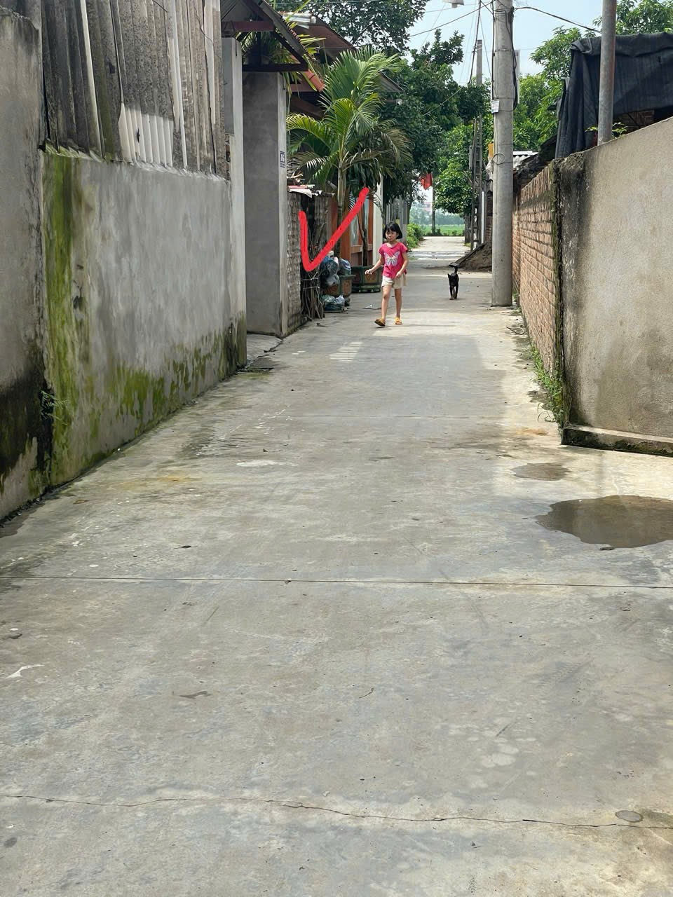Bán siêu phẩm đông lai quang tiến