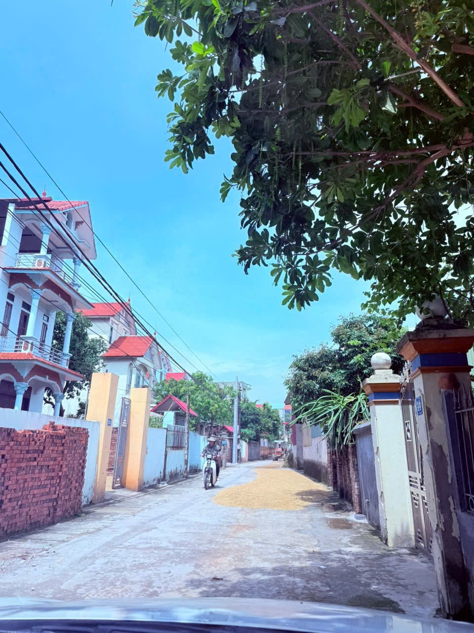 Ngon bổ rẻ nhất bắc phú