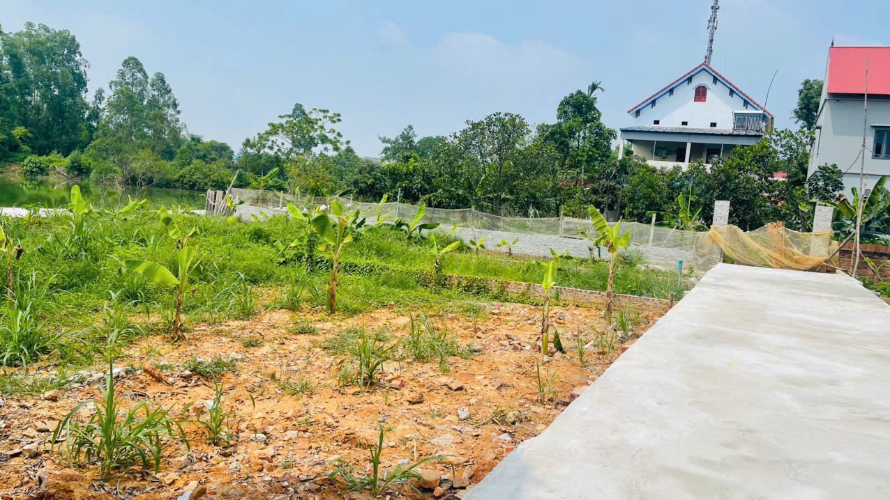 Mở bán hàng phân lô tại đồng chầm