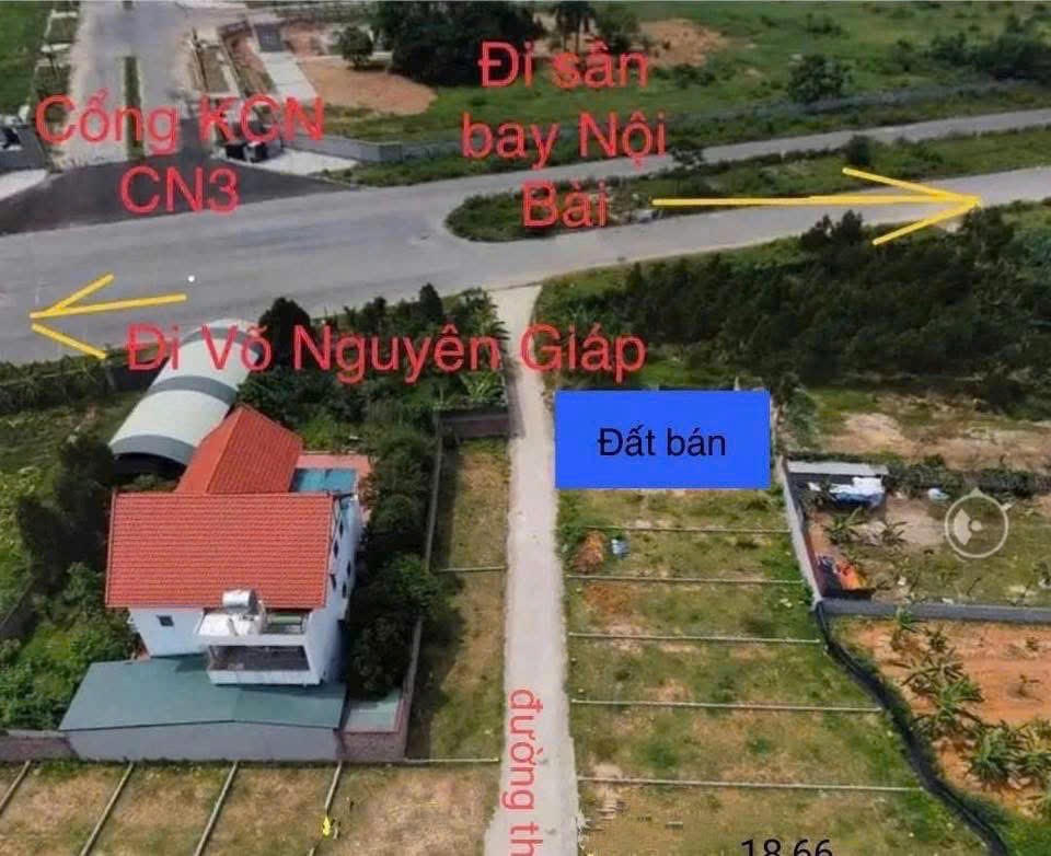 Siêu phẩm hương đình mai đình