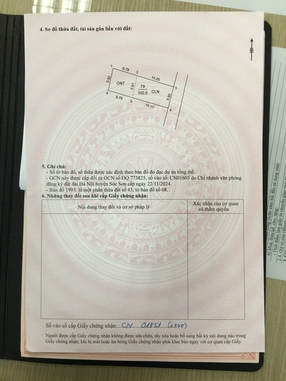 Siêu phẩm song Mai đoài sóc sơn