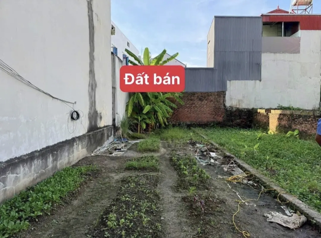 Siêu phẩm hương đình mai đình