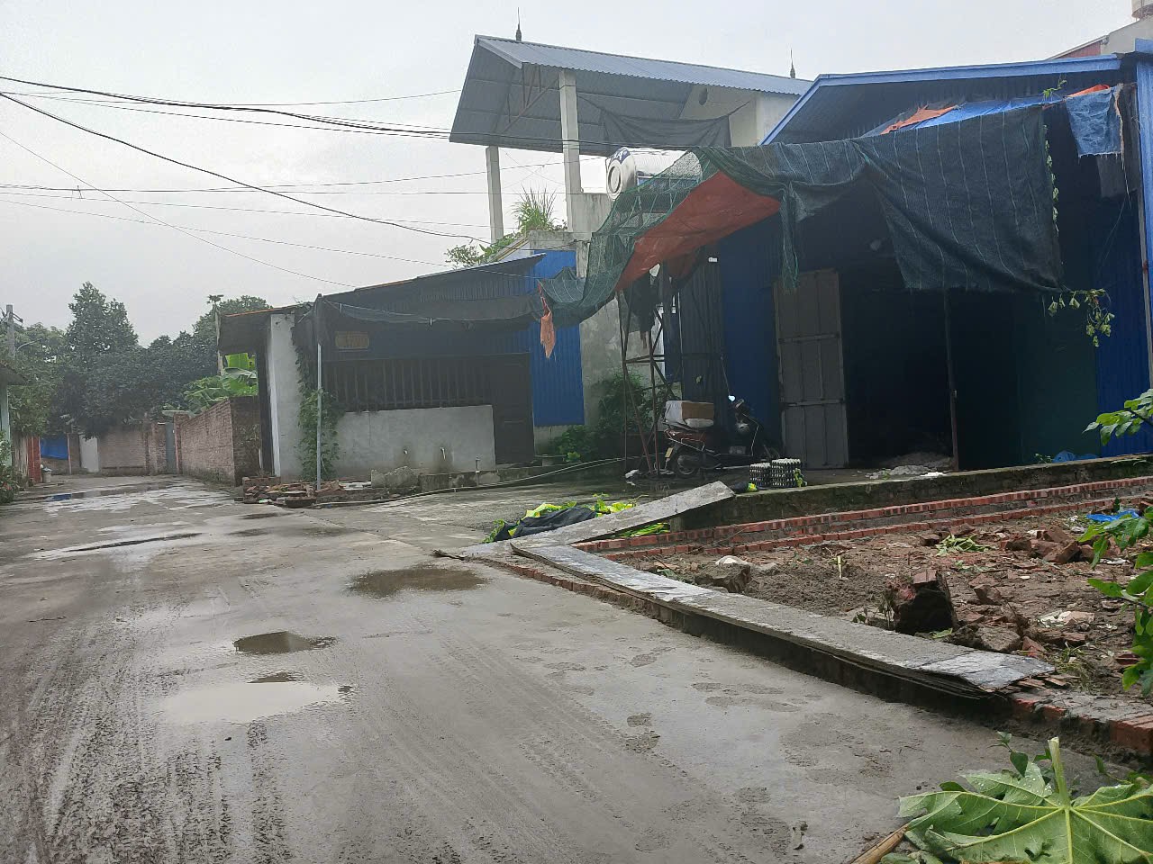 Siêu phẩm nội phật mai đình