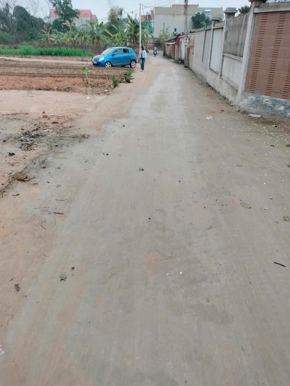 Siêu phẩm phù linh giá đẹp đầu tư