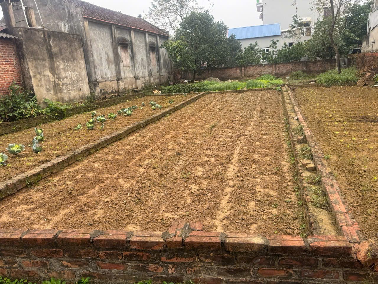 Siêu phẩm tân minh sóc sơn