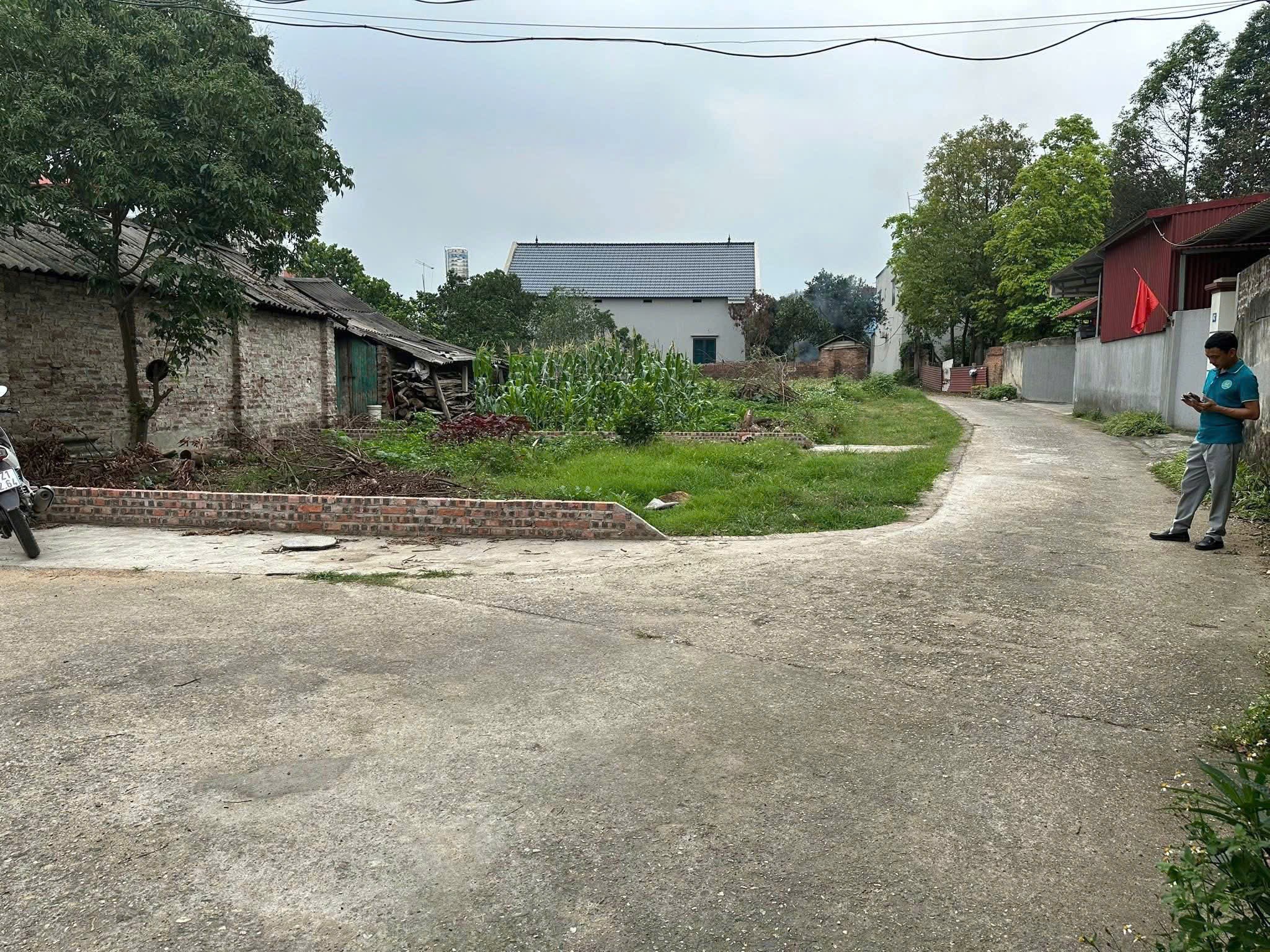 Siêu phẩm 2mt phù linh sóc sơn