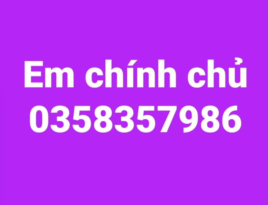 Siêu phẩm mai nội sóc sơn
