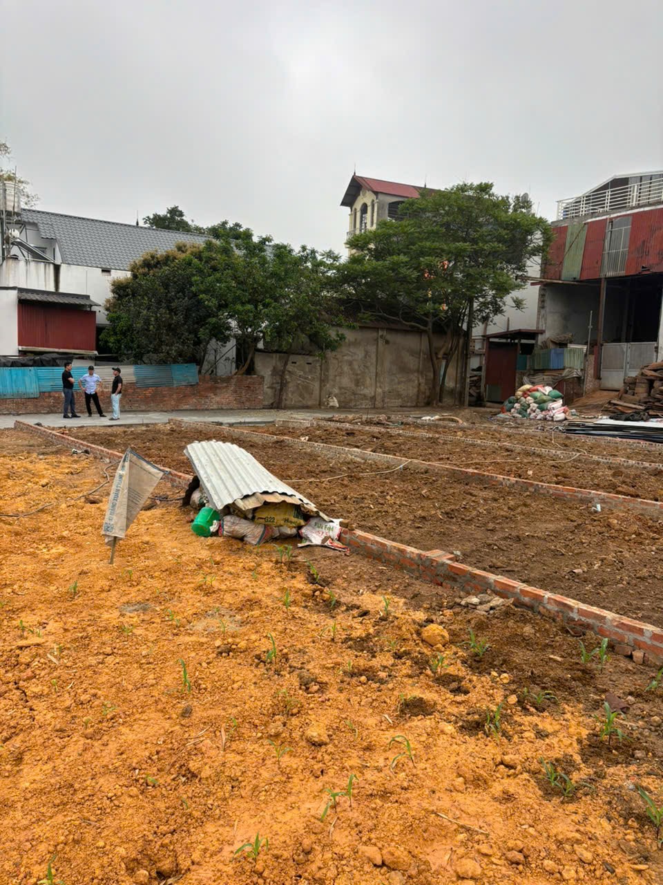 Hàng phân lô chưa lên sóng phù linh sóc sơn