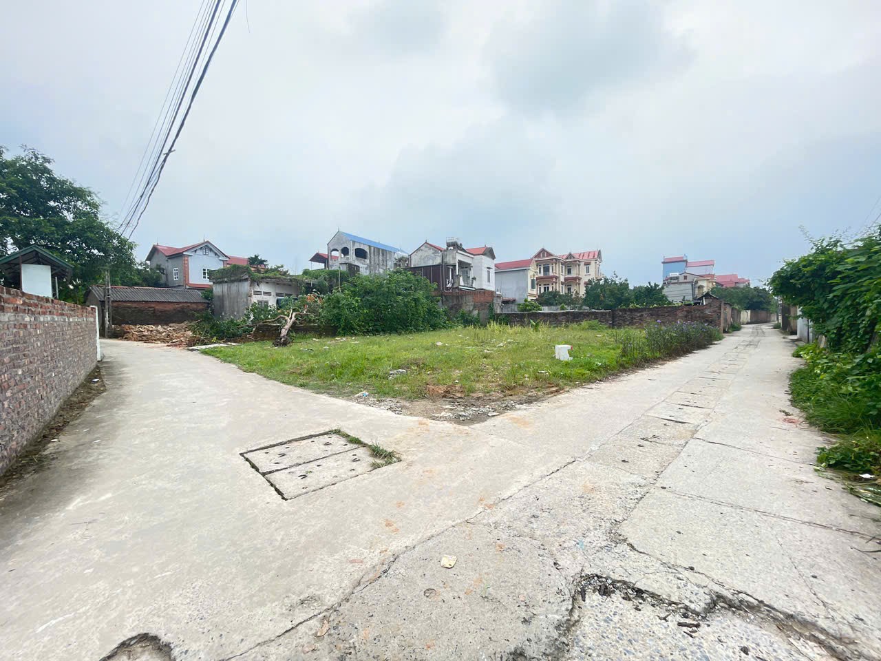 Siêu phẩm tiên dược sóc sơn