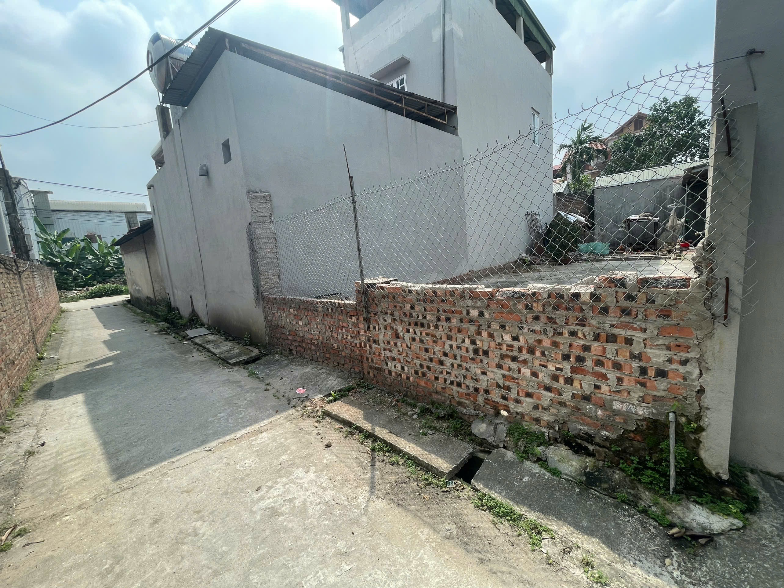 Siêu phẩm hoàng dương sóc sơn