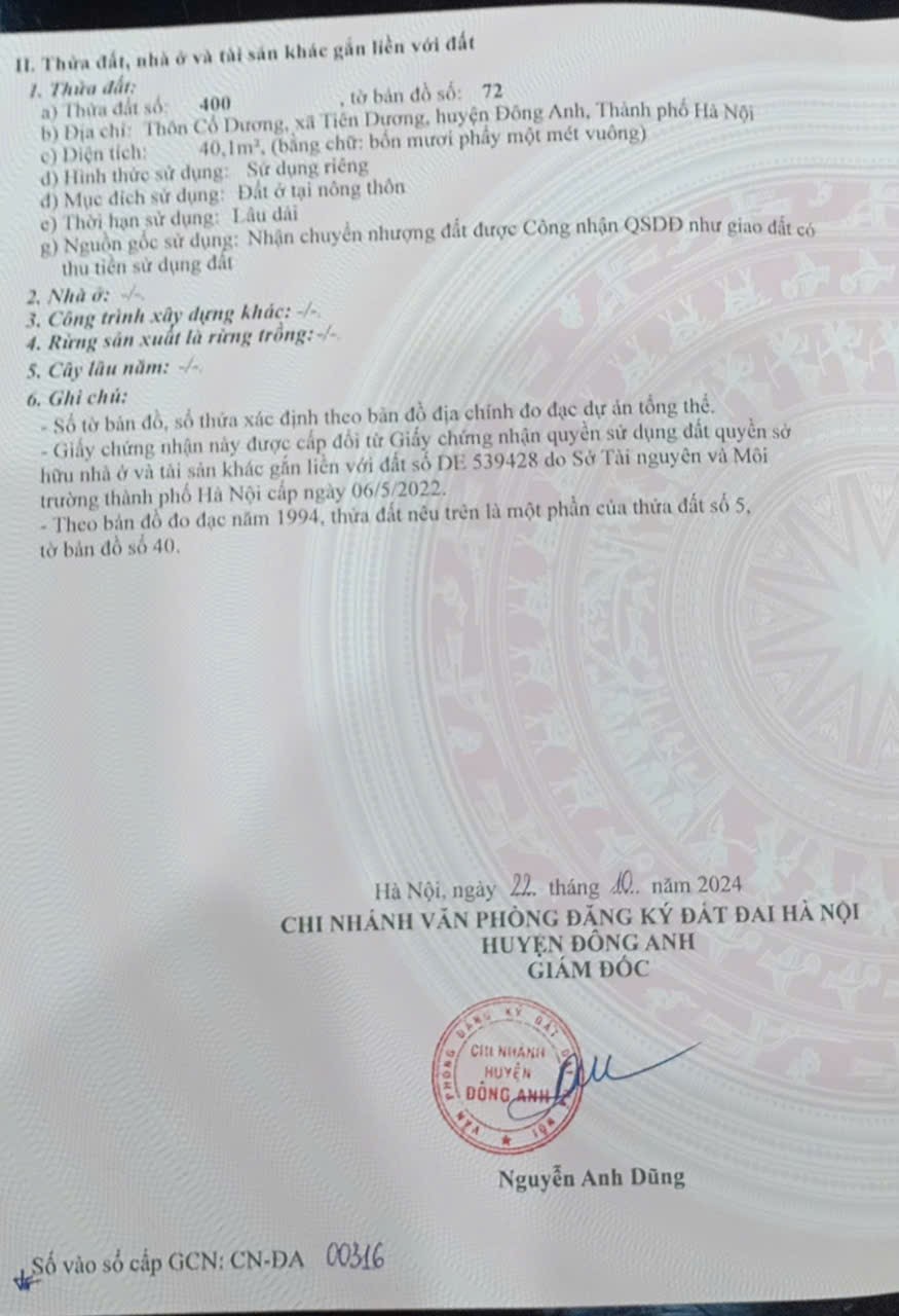 Siêu phẩm cổ dương