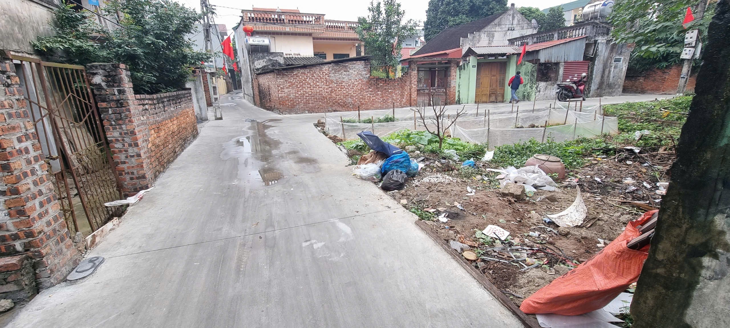 Siêu phẩm cổ dương