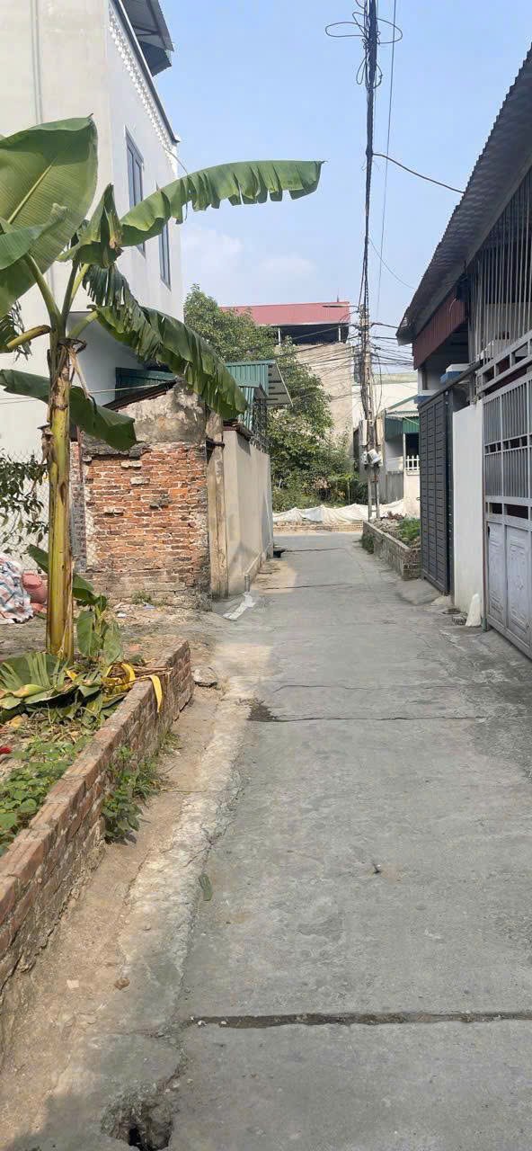 Siêu phẩm mai lâm đông anh
