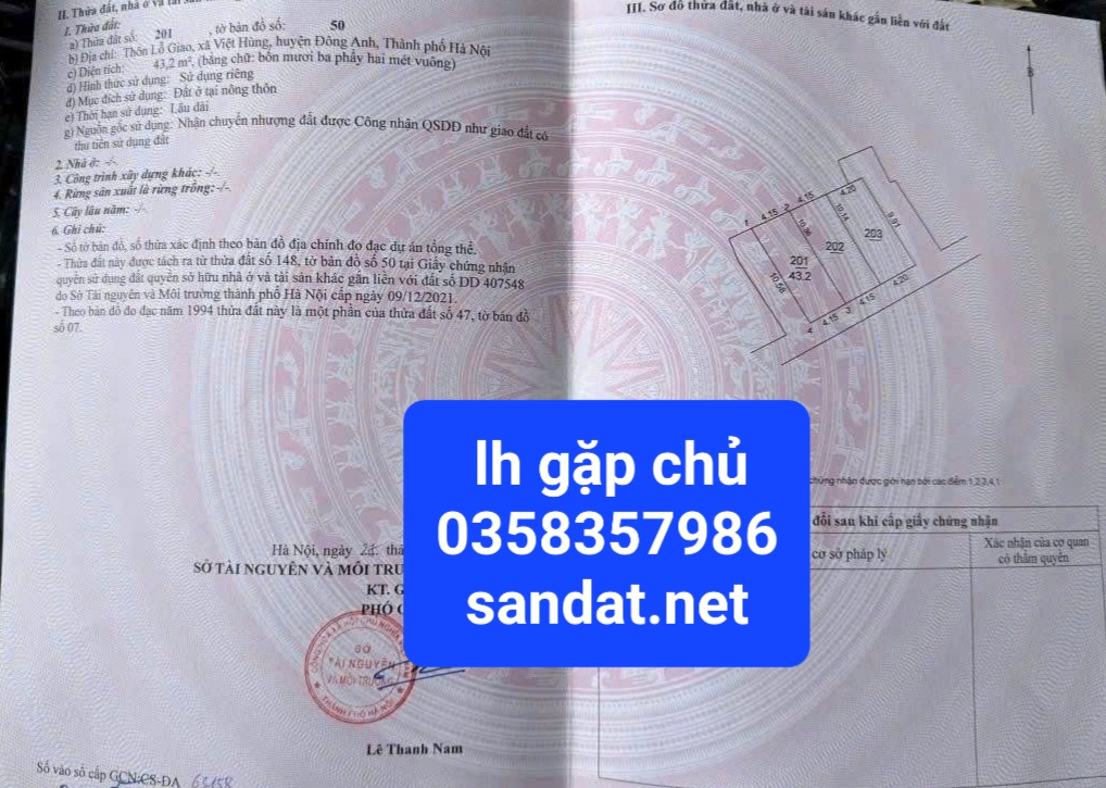 Siêu phẩm mai lâm đông anh
