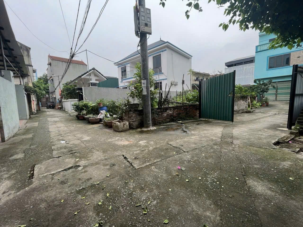 Siêu phẩm việt hùng đông anh