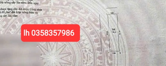 0358357986