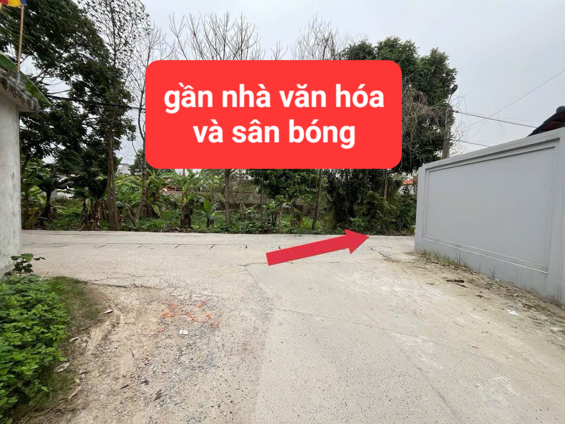 0358357986