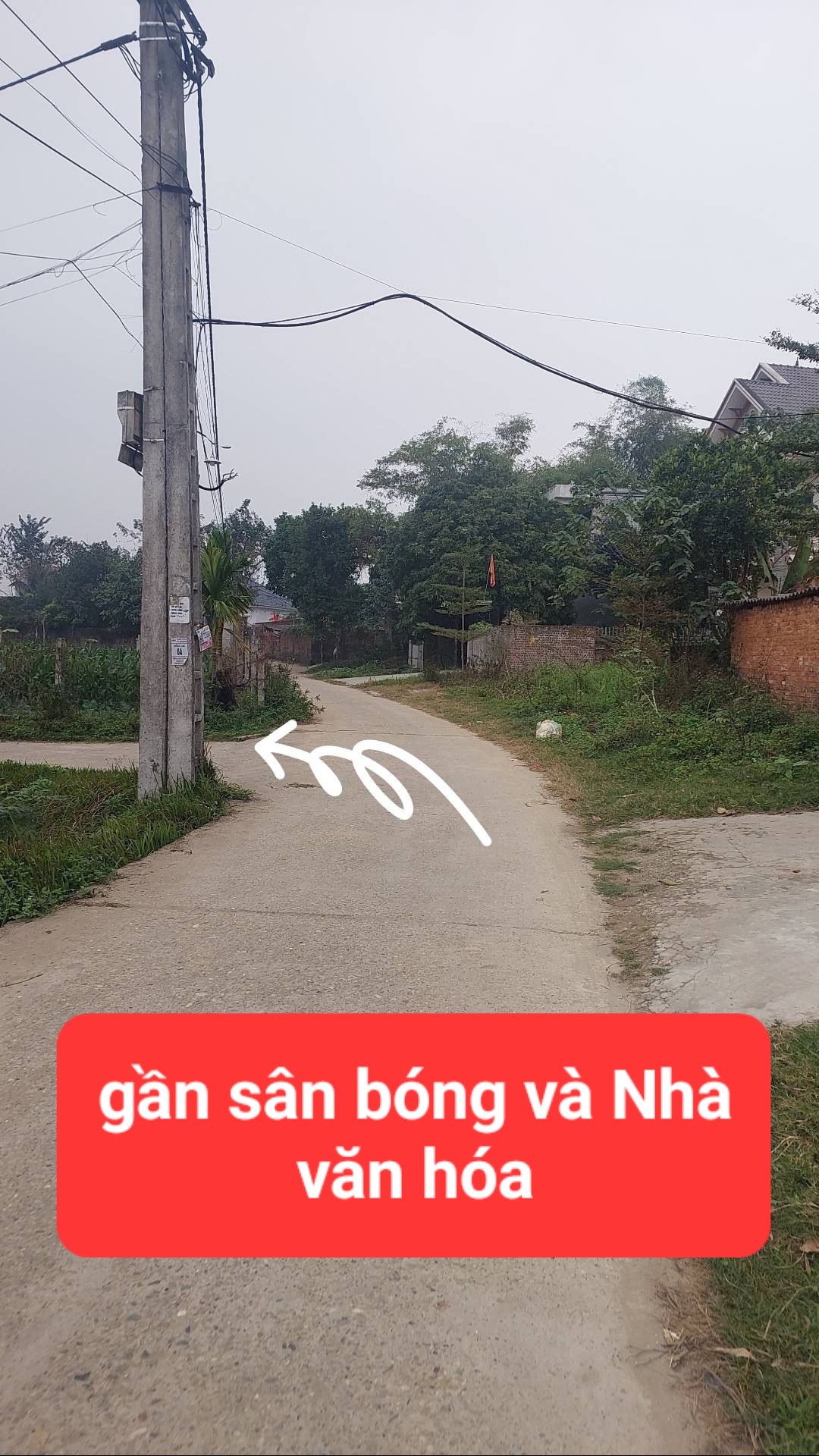0358357986