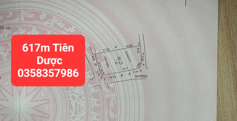 0358357986