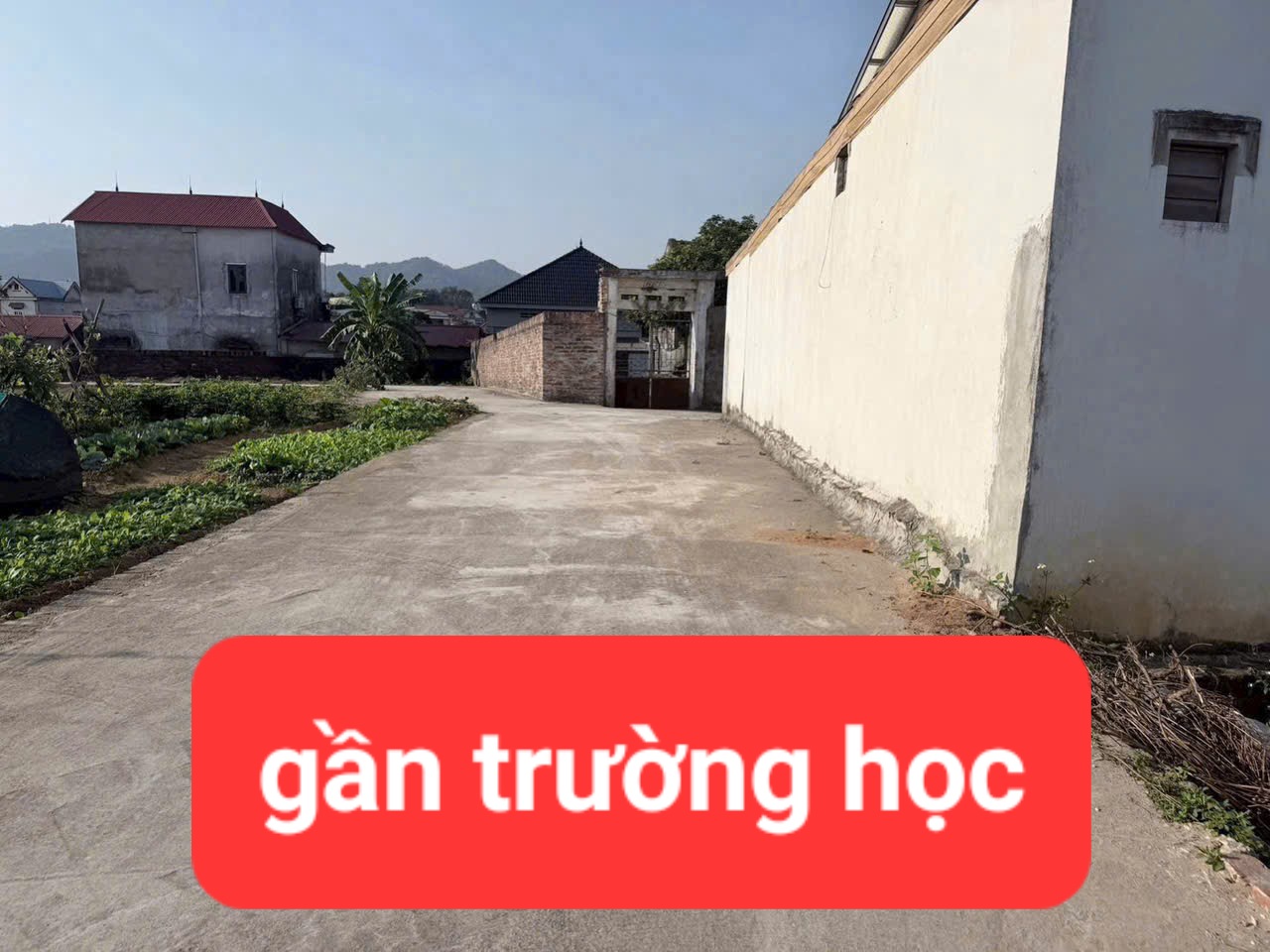 0358357986