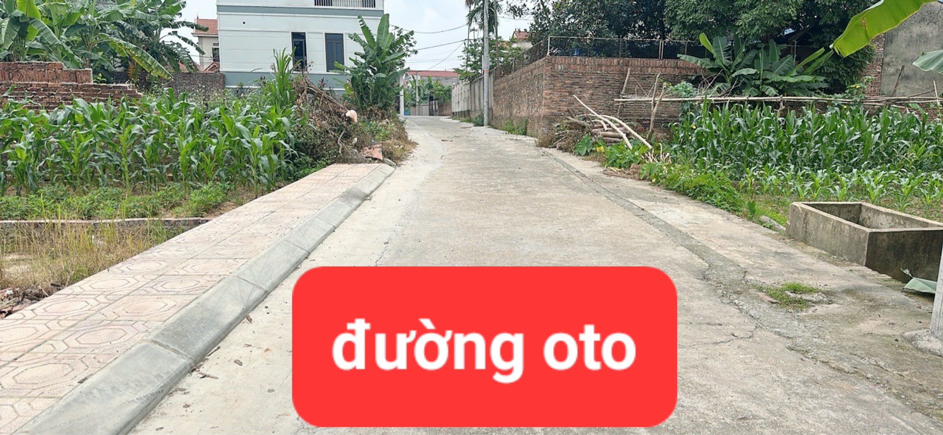 0358357986