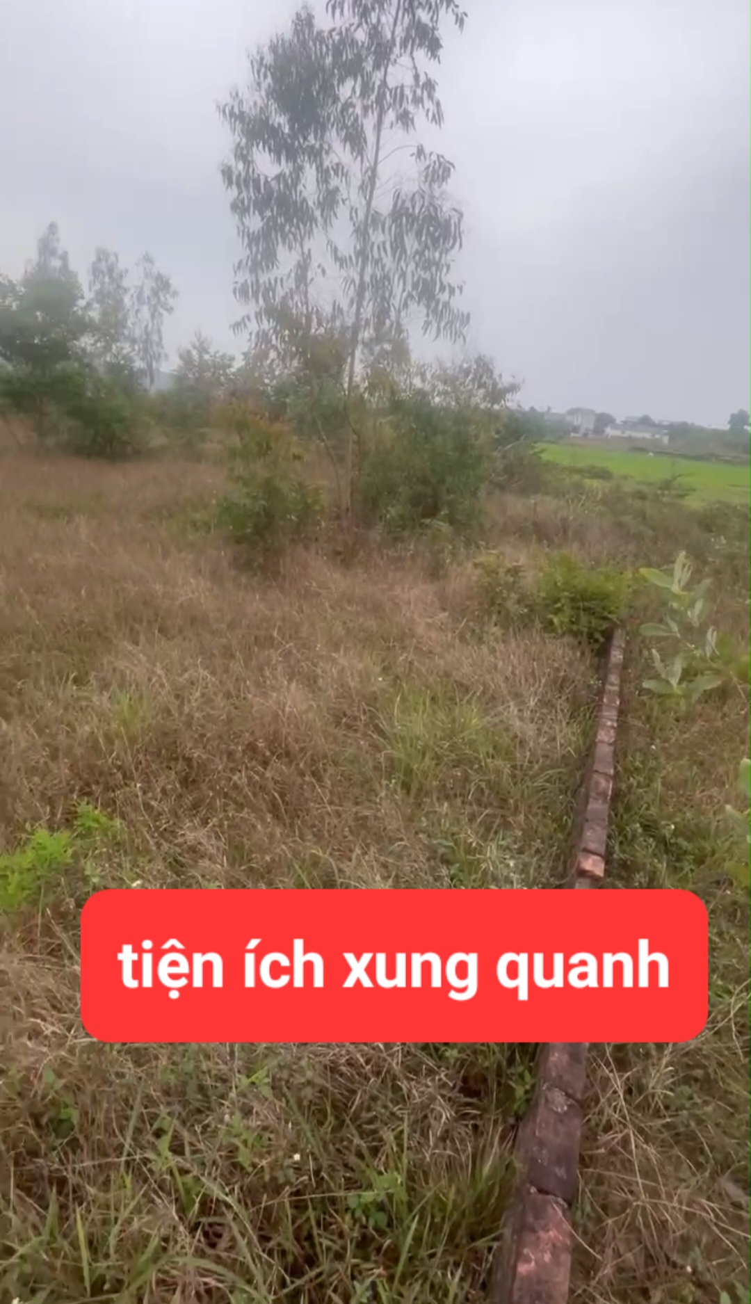 0358357986