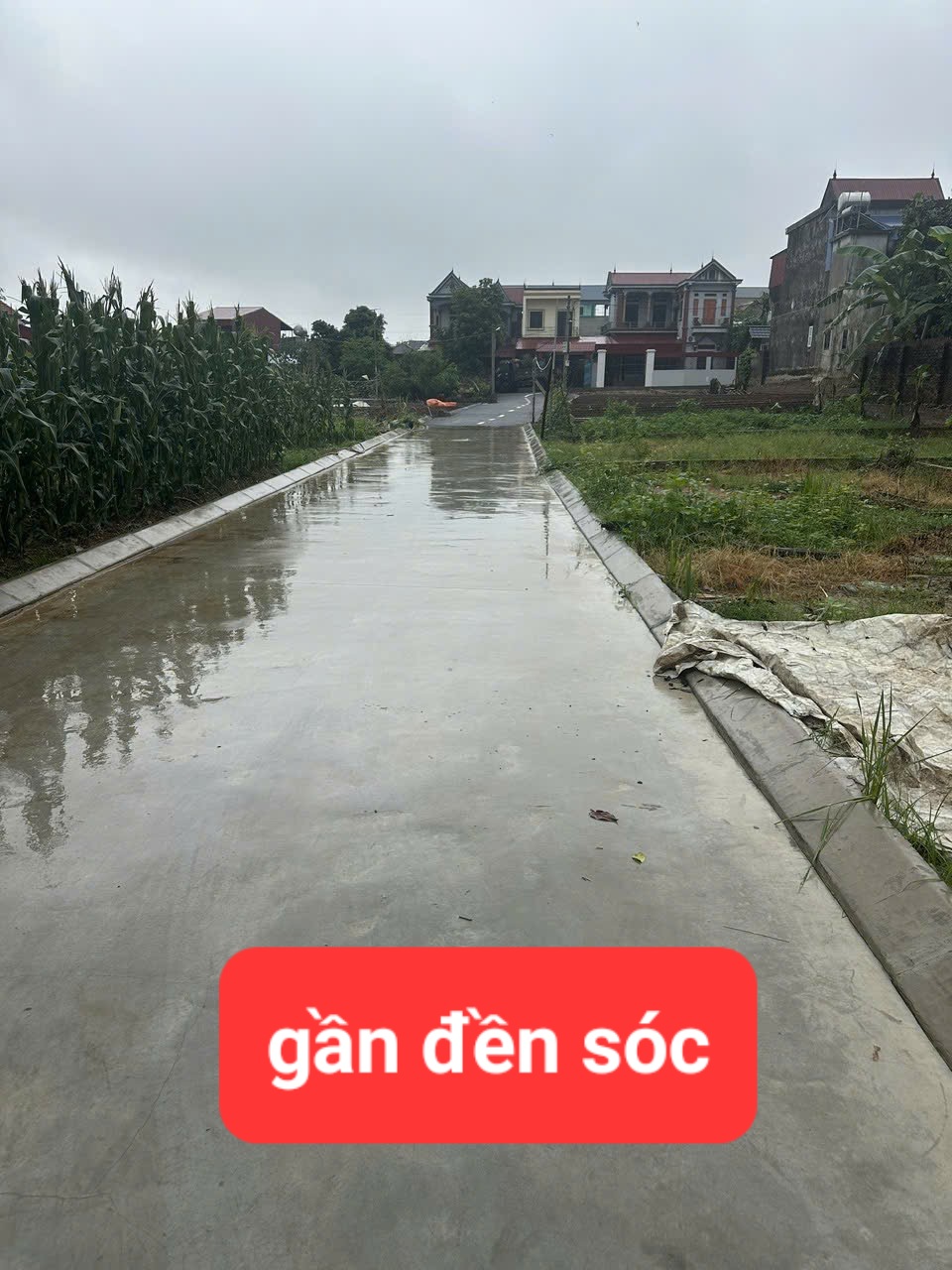 0358357986