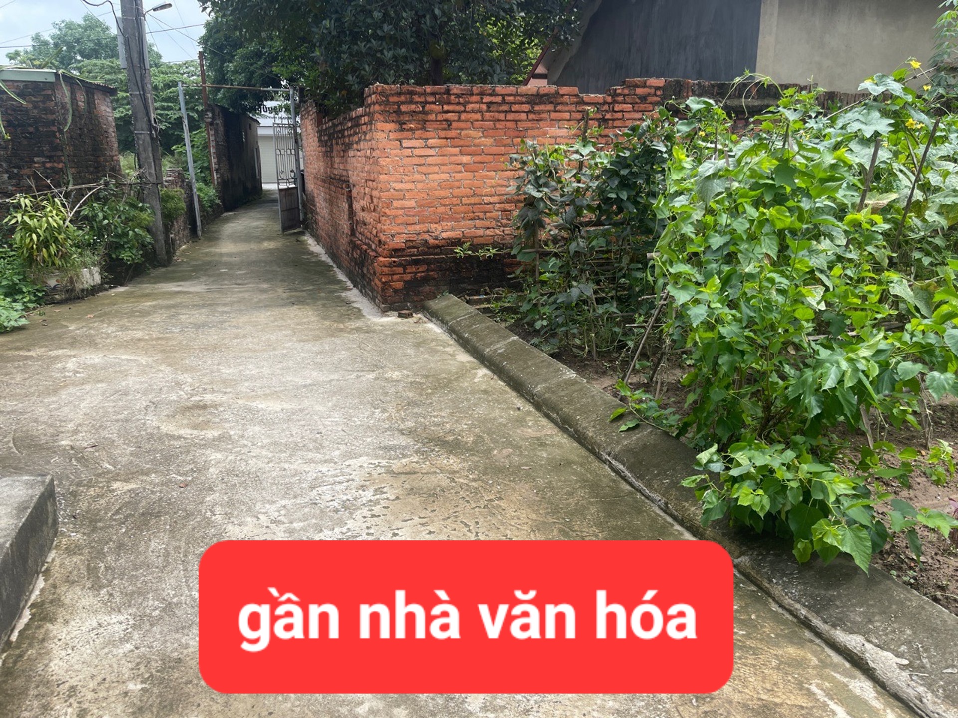 0358357986