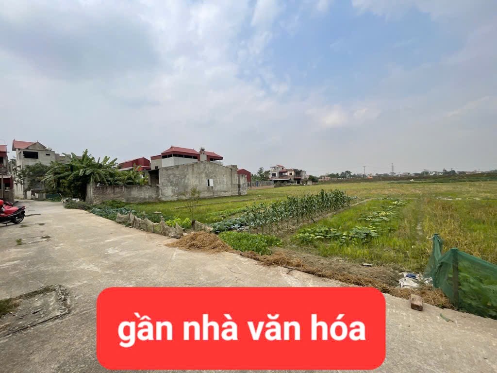 0358357986