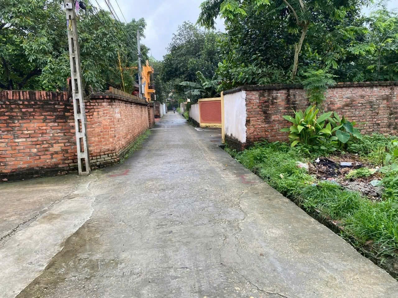 Bán đất