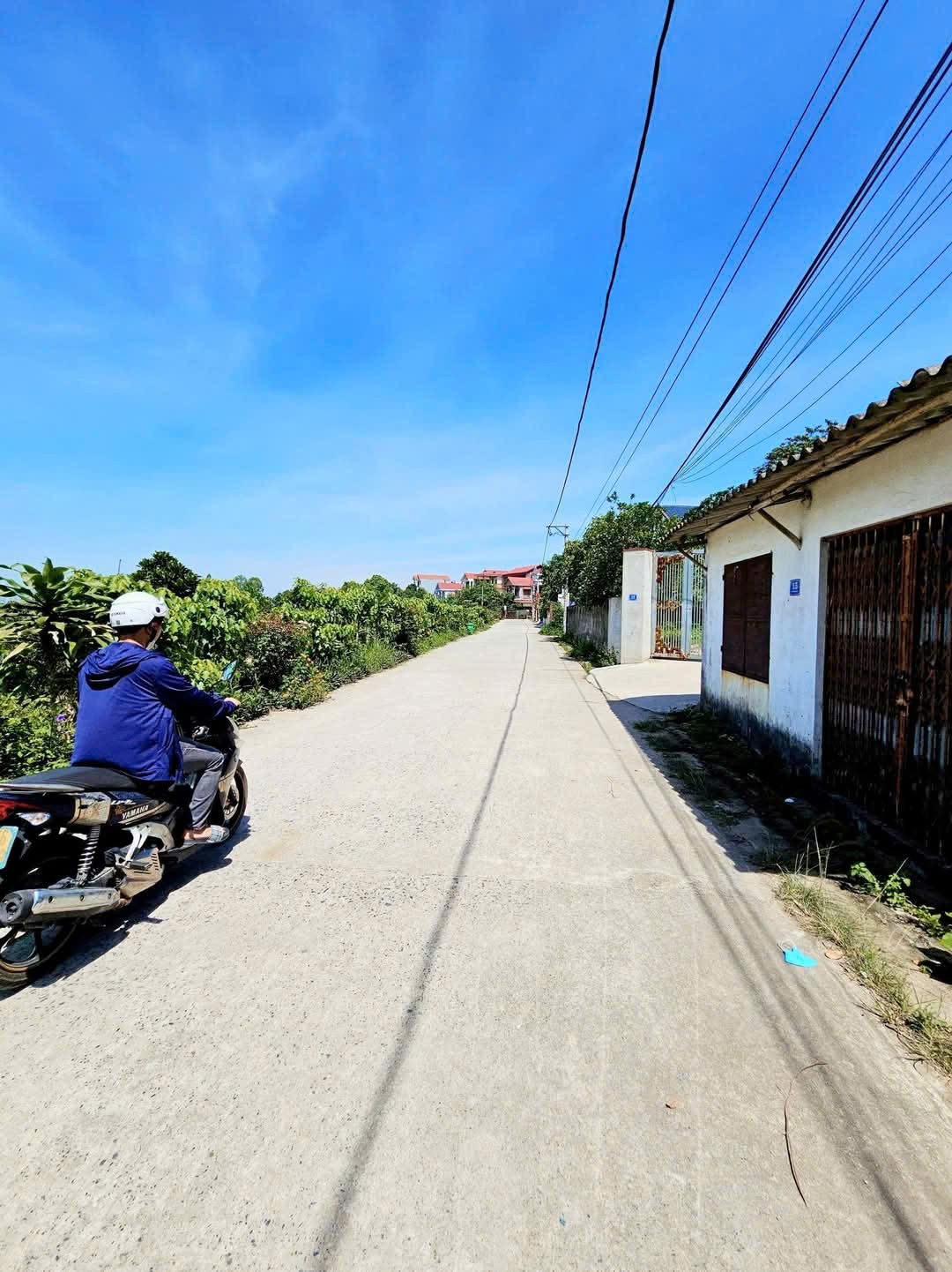 Bán đất