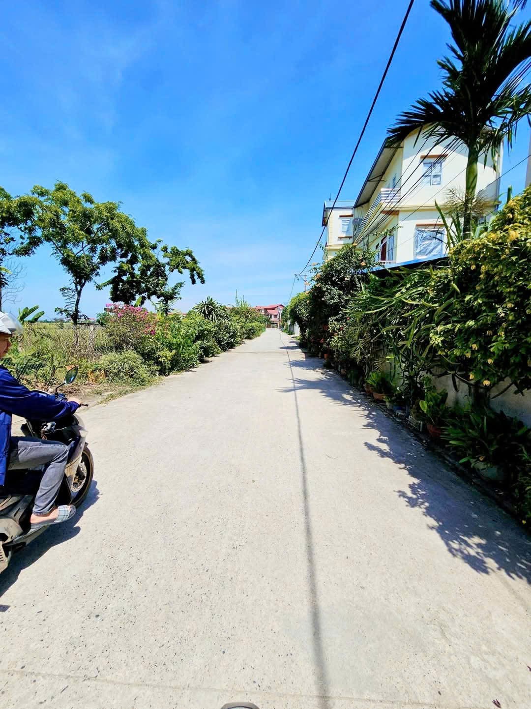 Bán đất