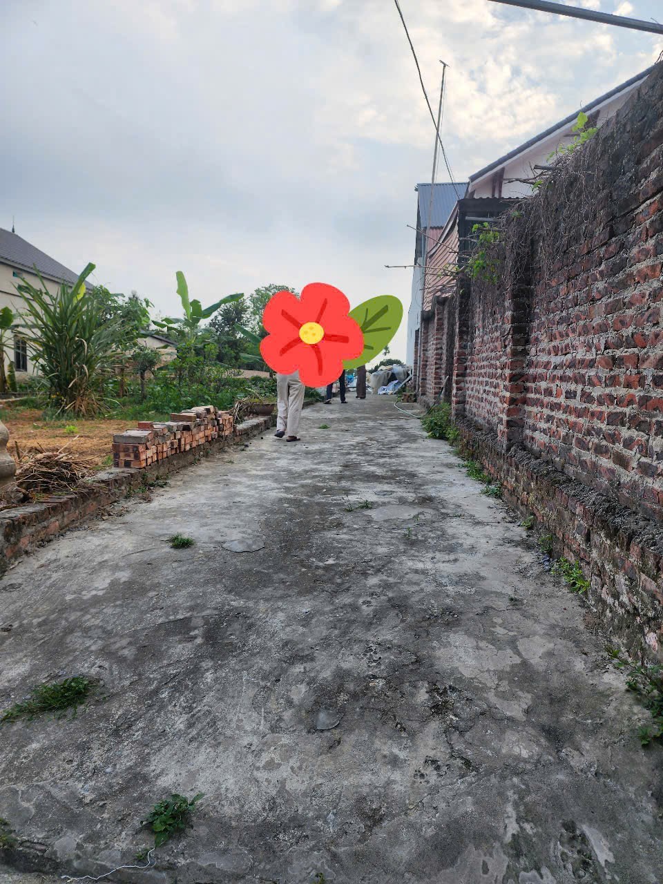 Bán đất