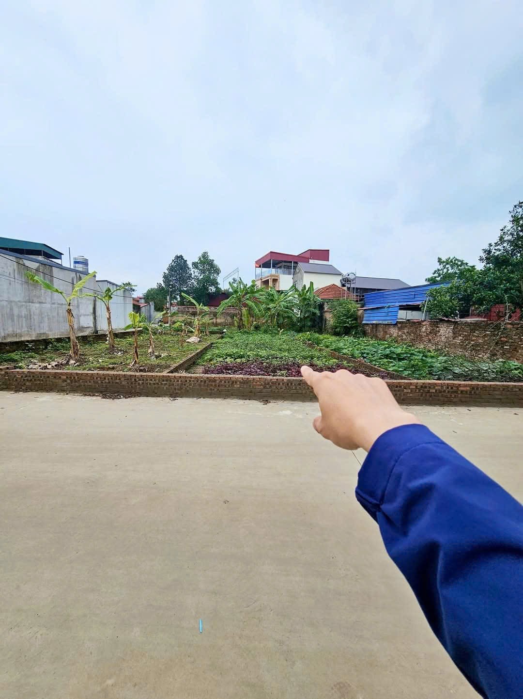 Bán đất