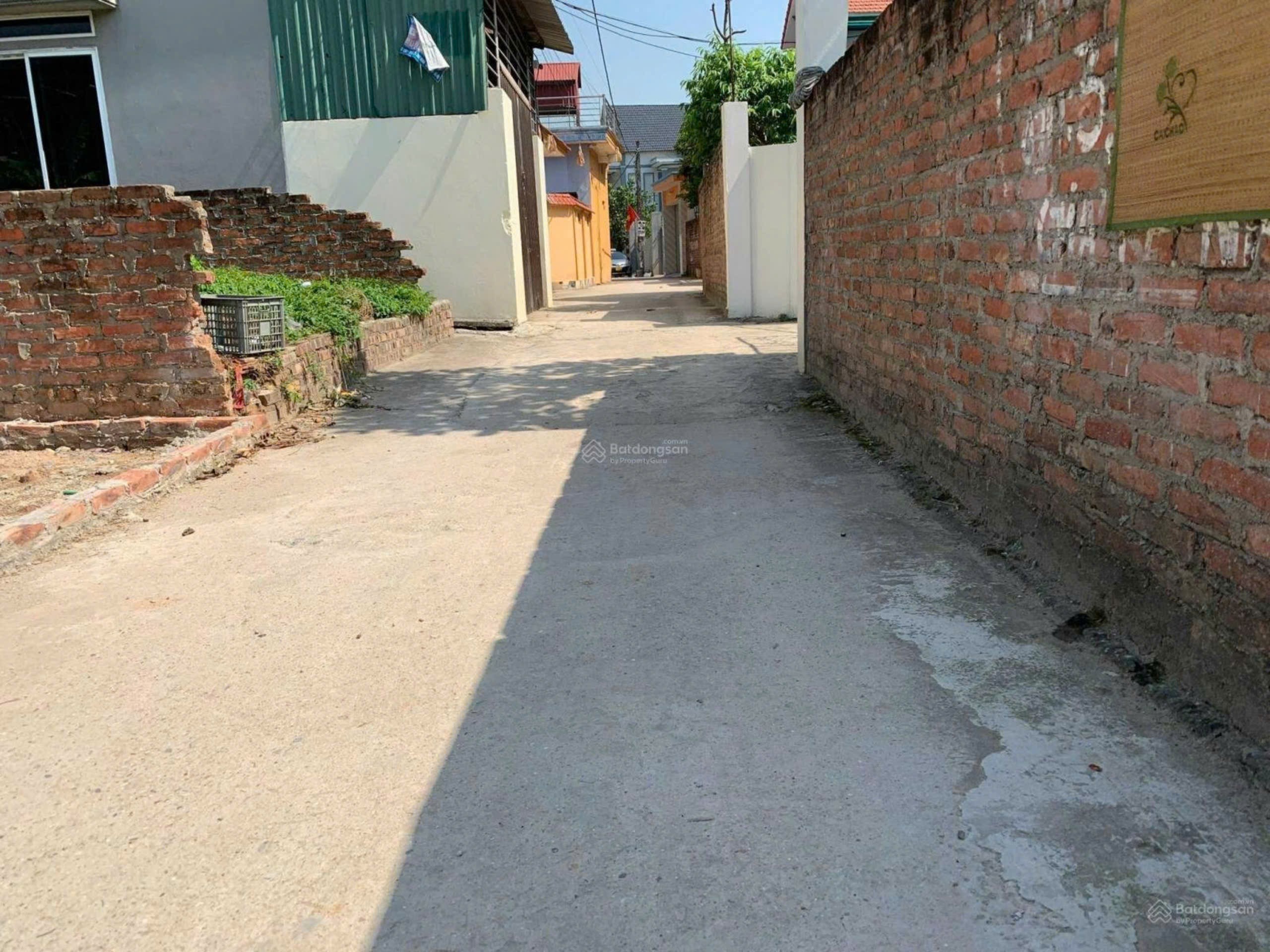 Bán đất