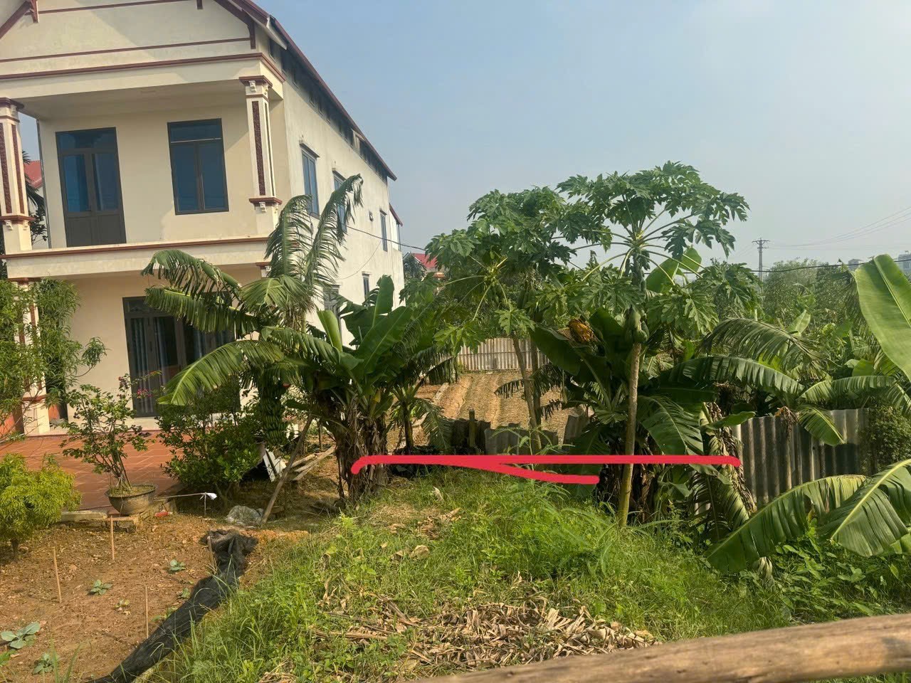 Bán đất