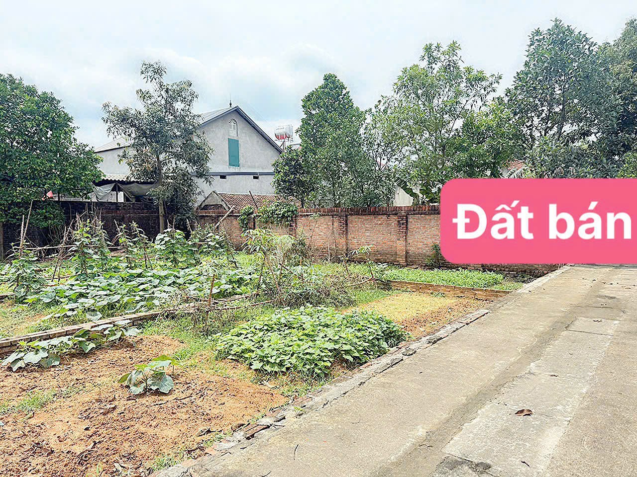 Bán đất
