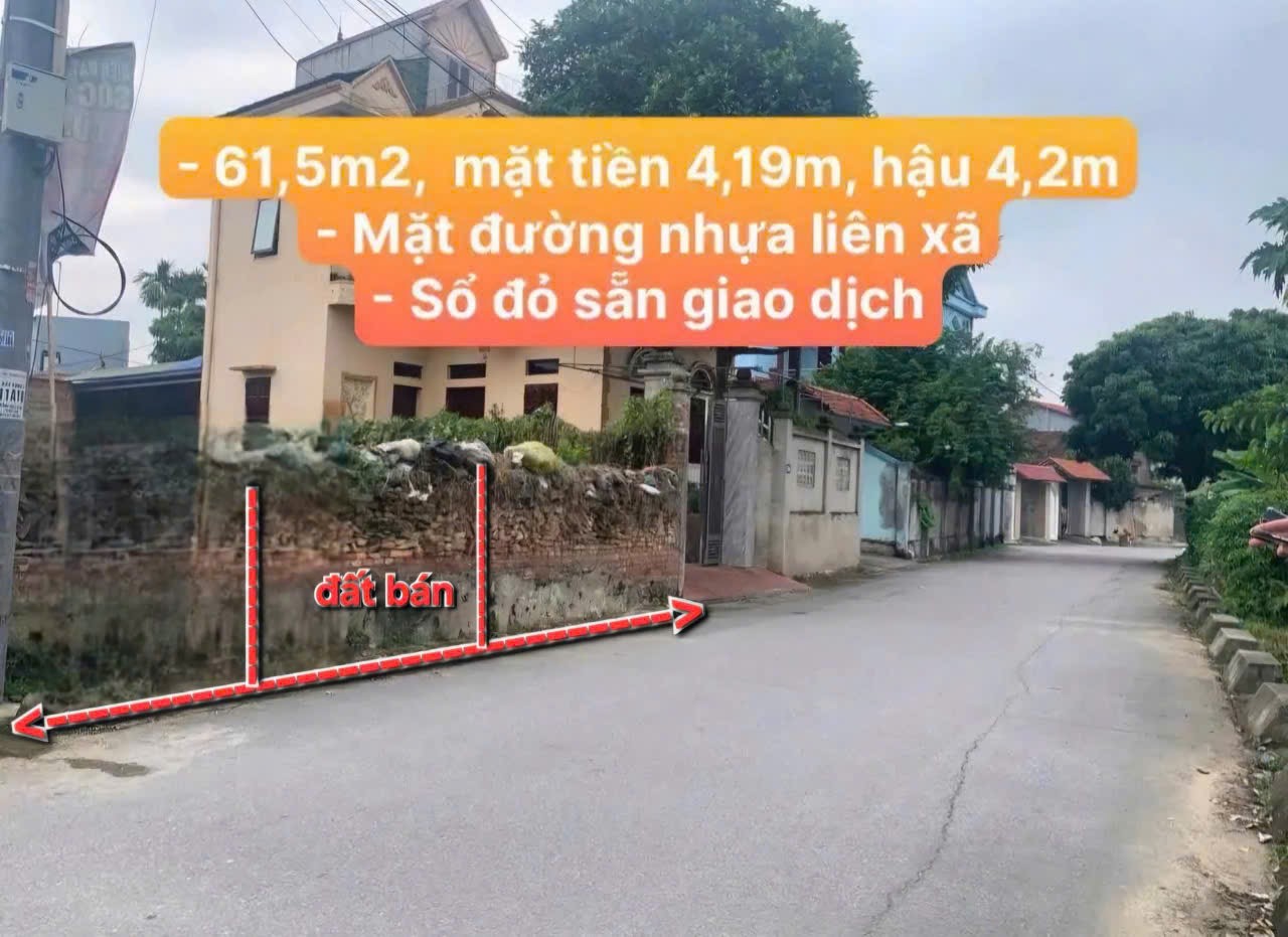 Bán đất