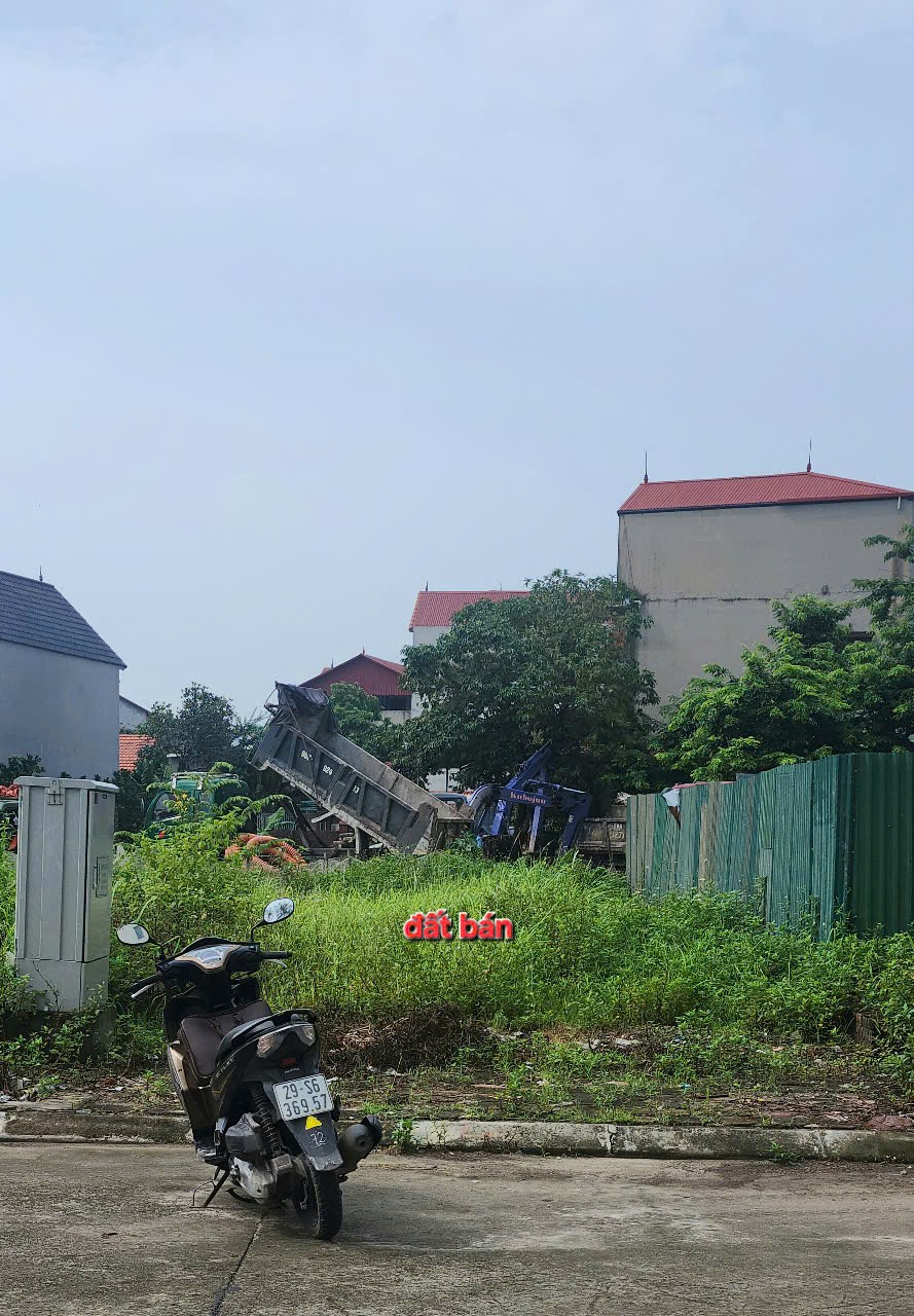 Bán đất