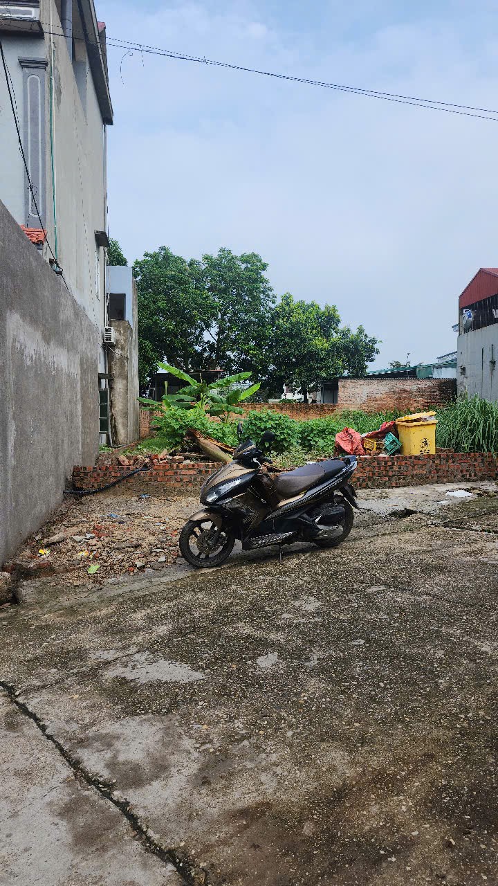 Bán đất