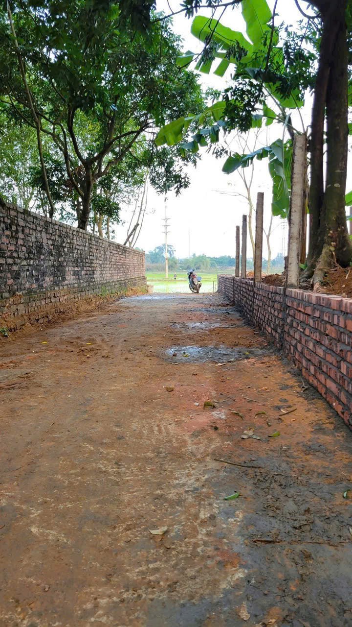 Bán đất