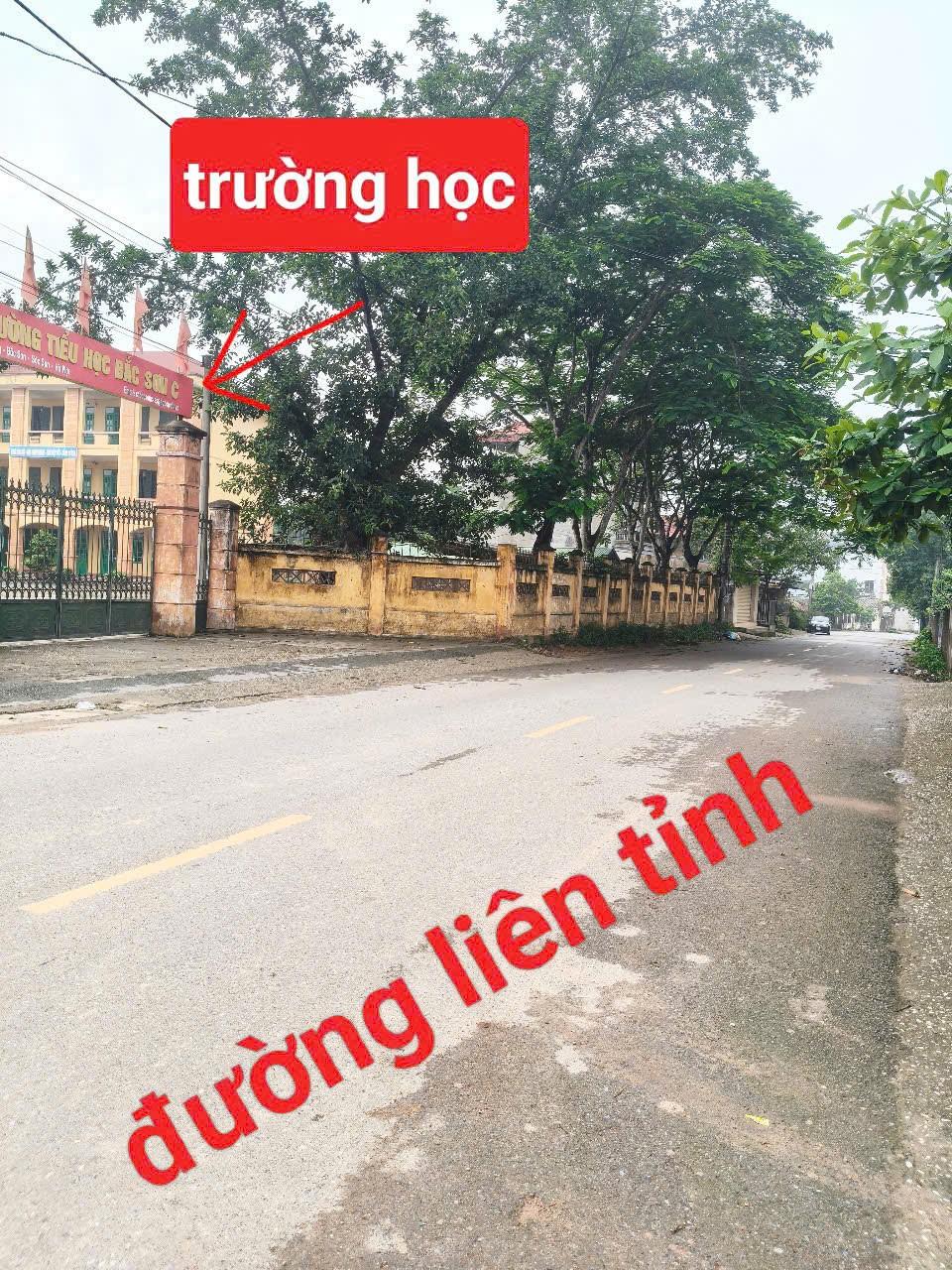 Bán đất