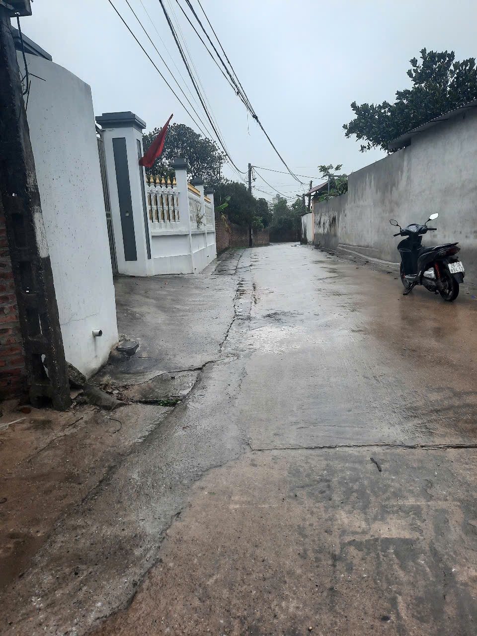 Bán đất