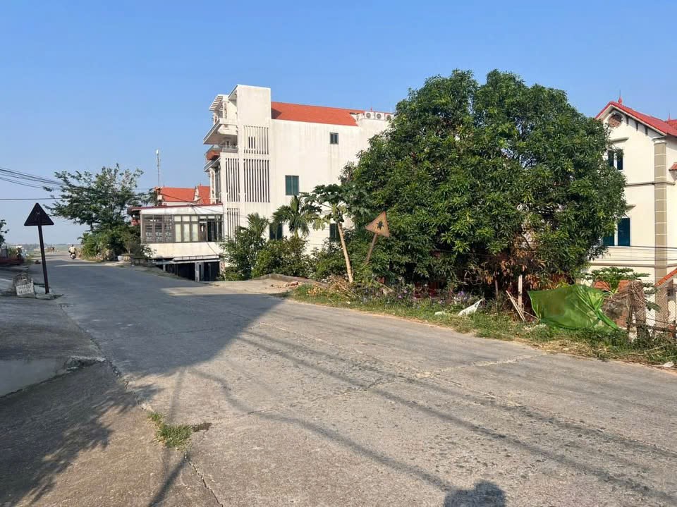 Bán đất