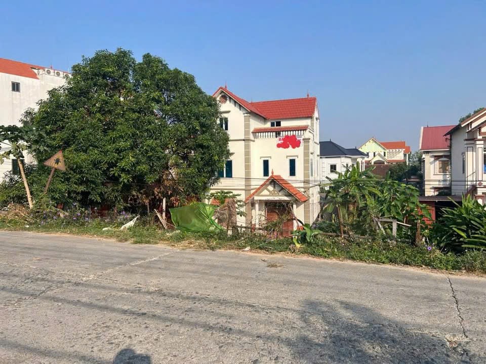 Bán đất