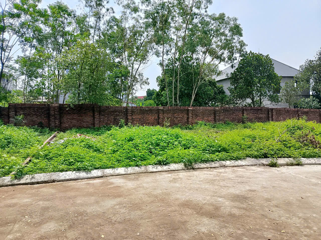 Bán đất