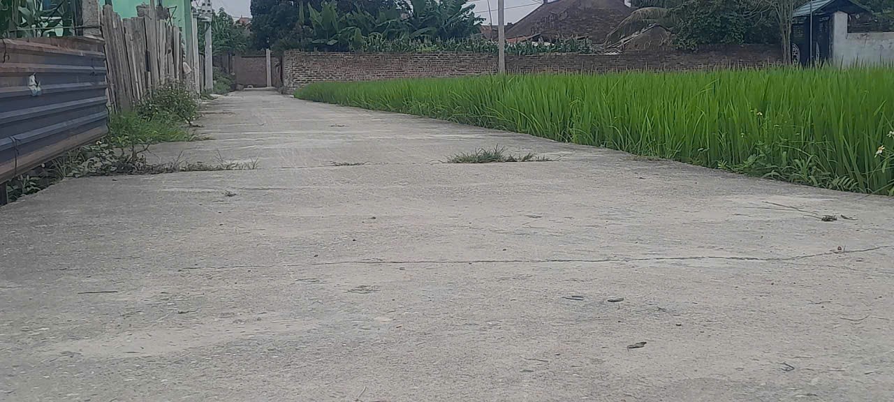 Bán đất