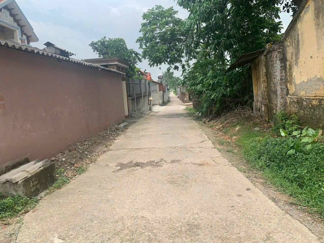 Bán đất