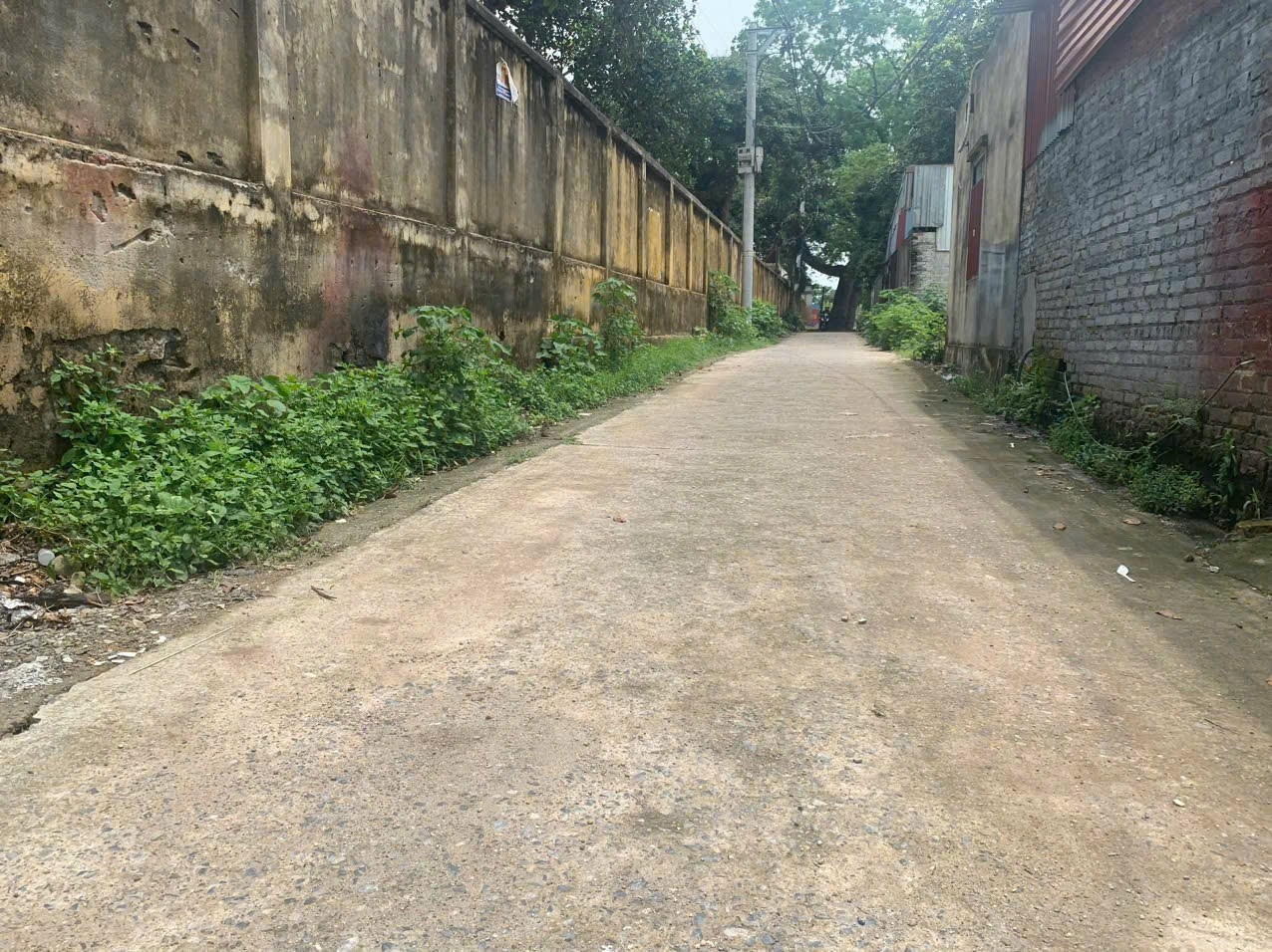 Bán đất