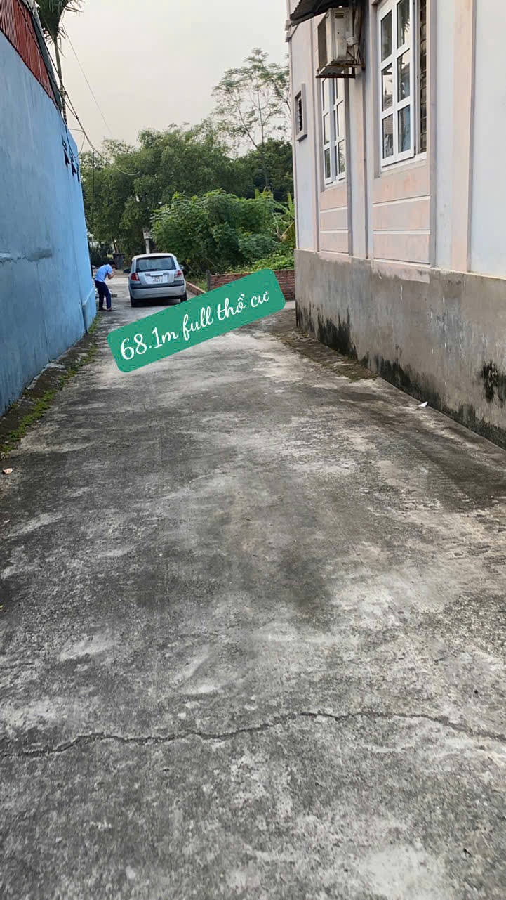Bán đất